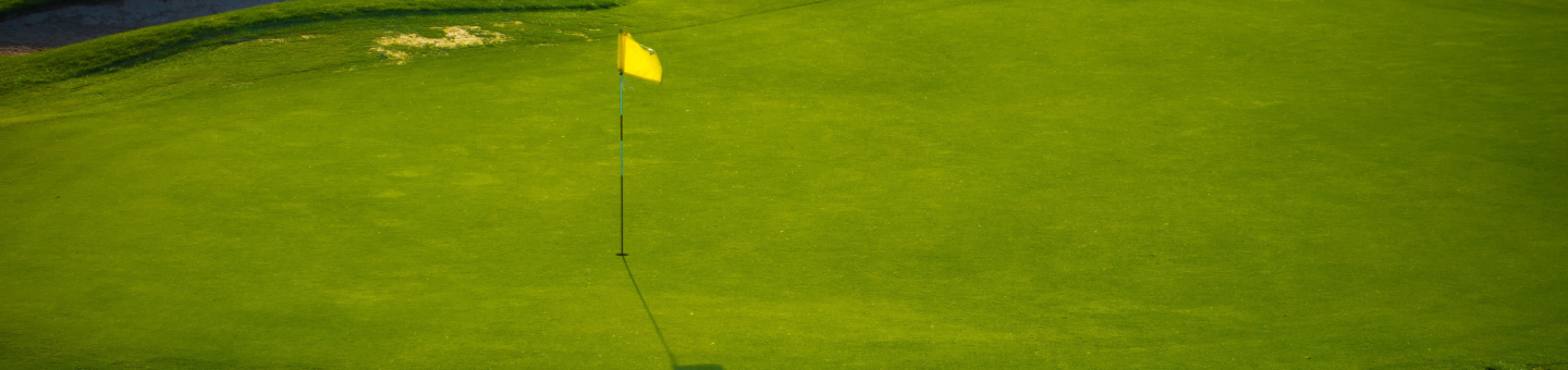 Play Golf on Green Fee in Sweden